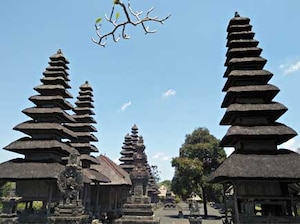 Seniors' Special Bali Tour