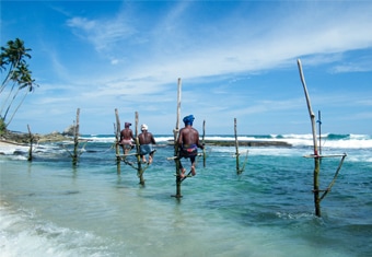 Sri Lanka Family Tour Highlights