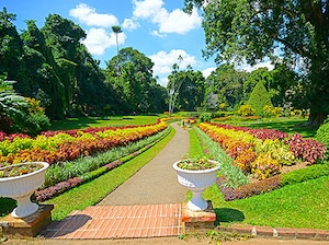 Highlights of Sri Lanka Tour