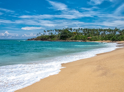 Sri Lanka with Sigiriya and Anuradhapura Tour