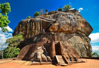 Sri Lanka Family Tour Highlights