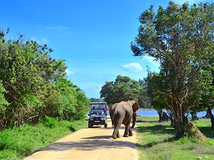 Sri Lanka with Sigiriya and Yala National Park Tour