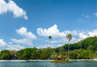 Sri Lanka Seniors Special Tour Highlights
