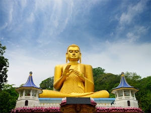 Seniors' Special Sri Lanka Tour