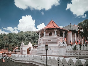 Seniors' Special Sri Lanka Tour