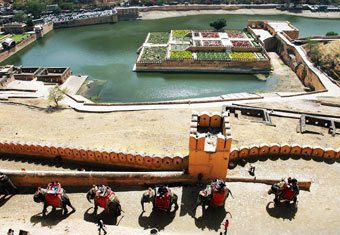 North India Inbound Tour Highlights