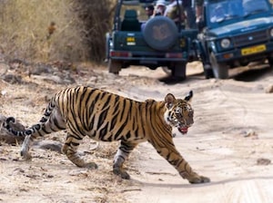 On the Tiger’s Trail Tour