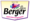 Berger Paints