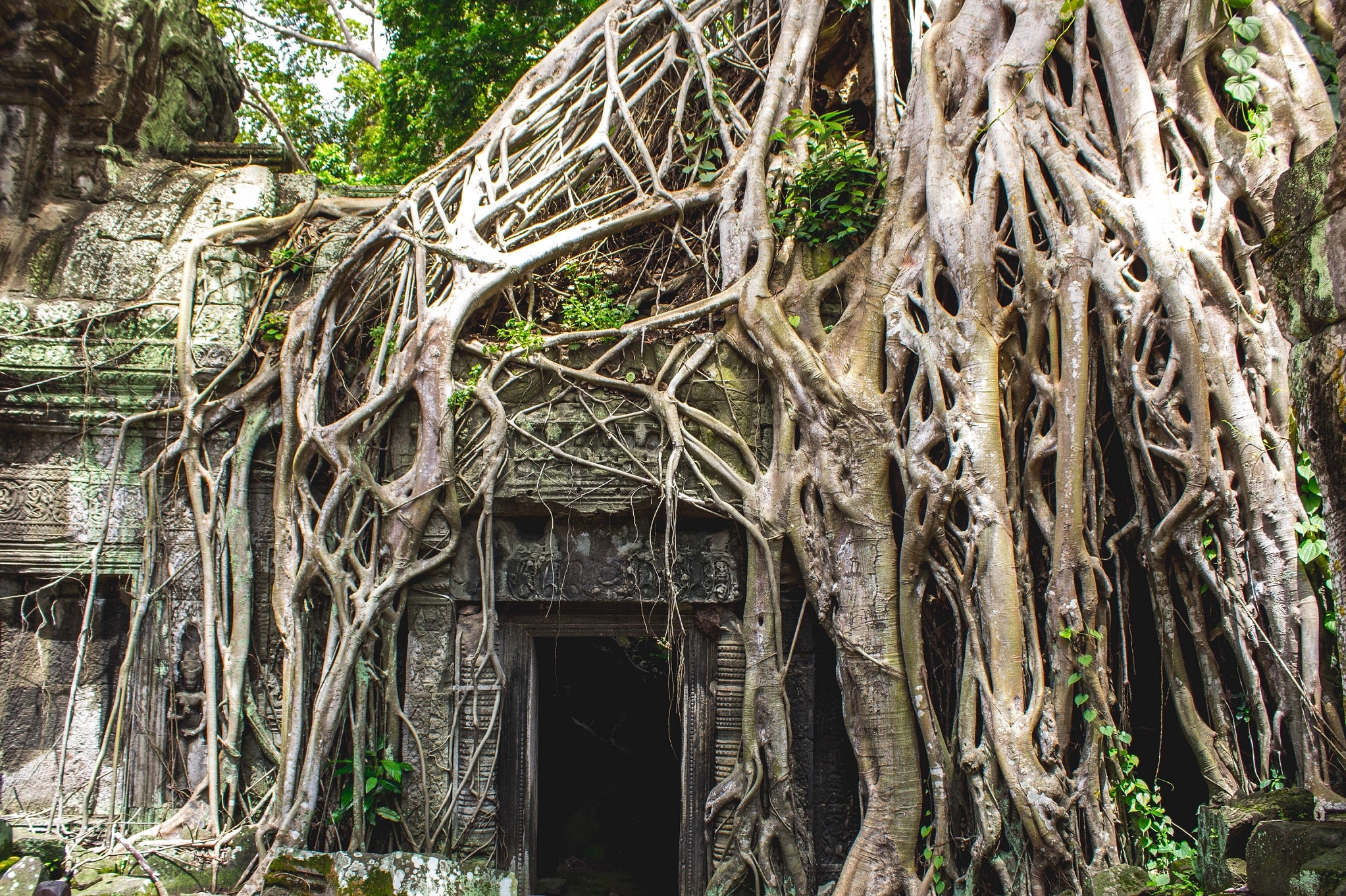Angkor Wat – Cambodia