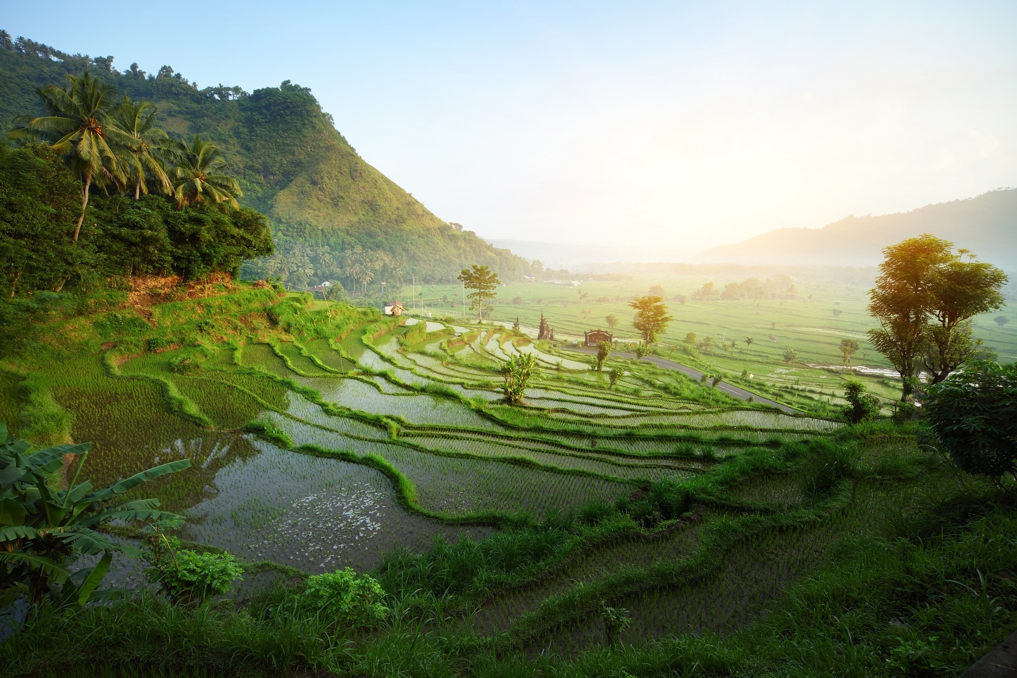 3 Shutterstock 73699444 Rice Tarrace In Mountains. Bali. Indonesia