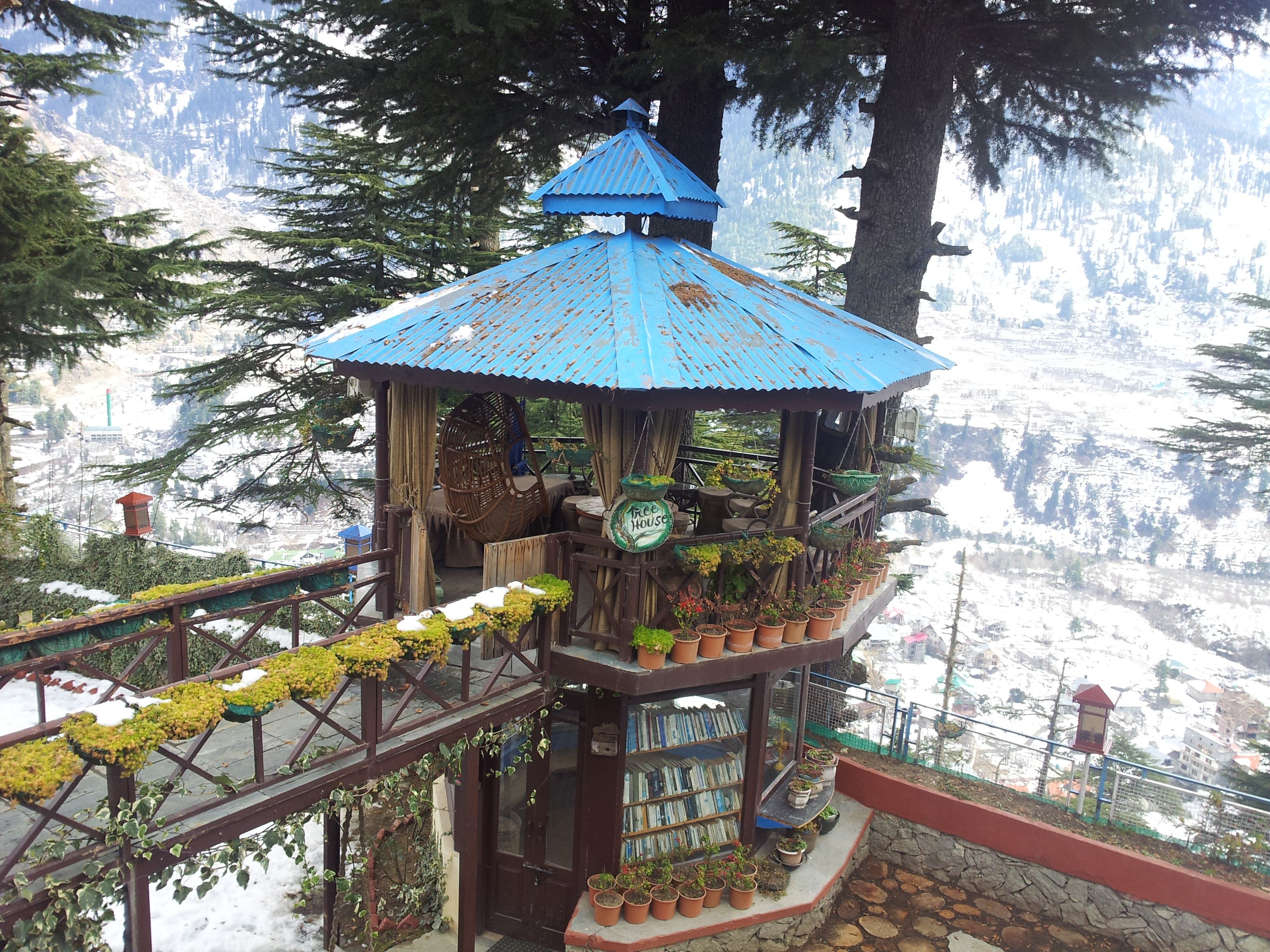 Tree House Of Manali