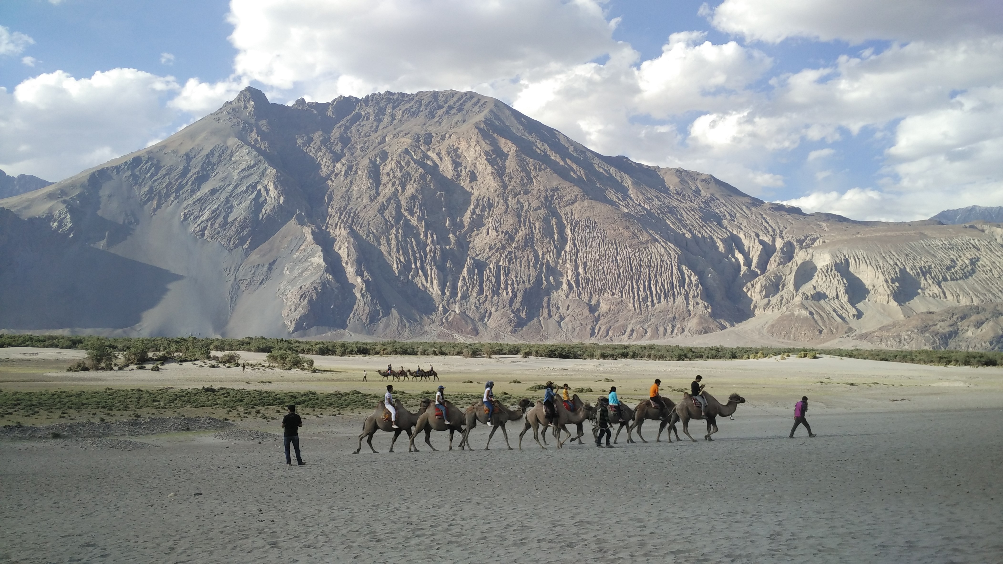 Double-humped Camel Ride at Nubra Valley Double-humped Camel Ride at Nubra Valley