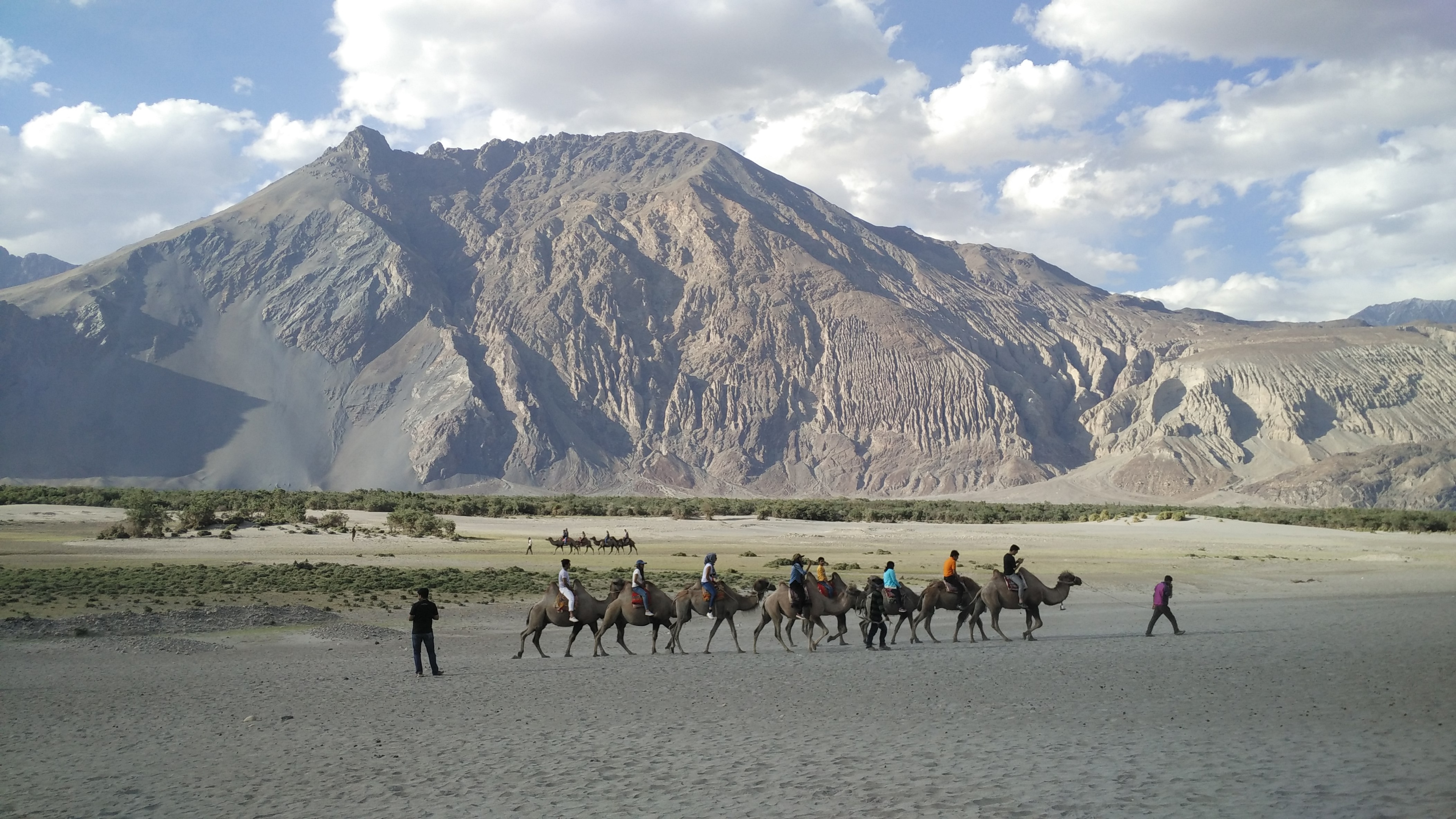 How to Reach Nubra Valley in Ladakh: Best Ways to Reach Kashmir's Glorious  Desert