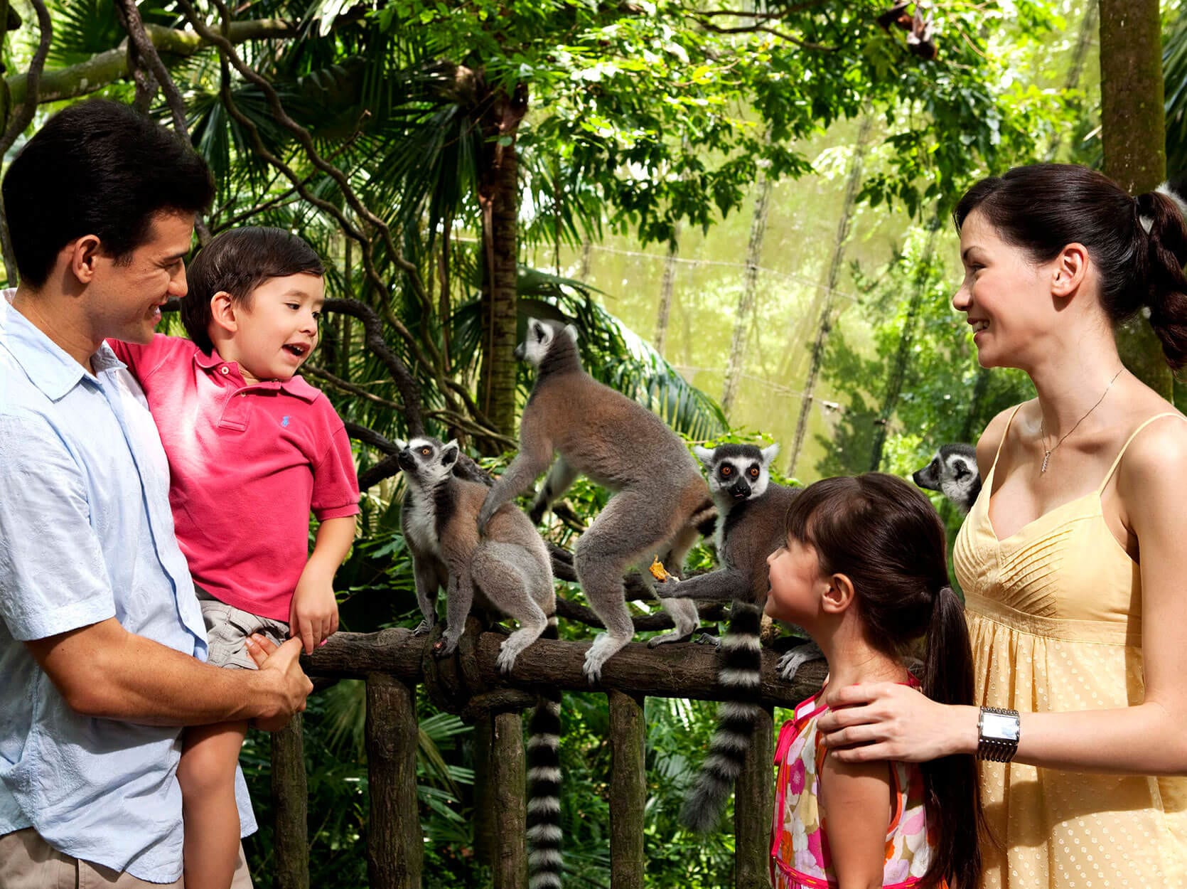 Singapore Zoo