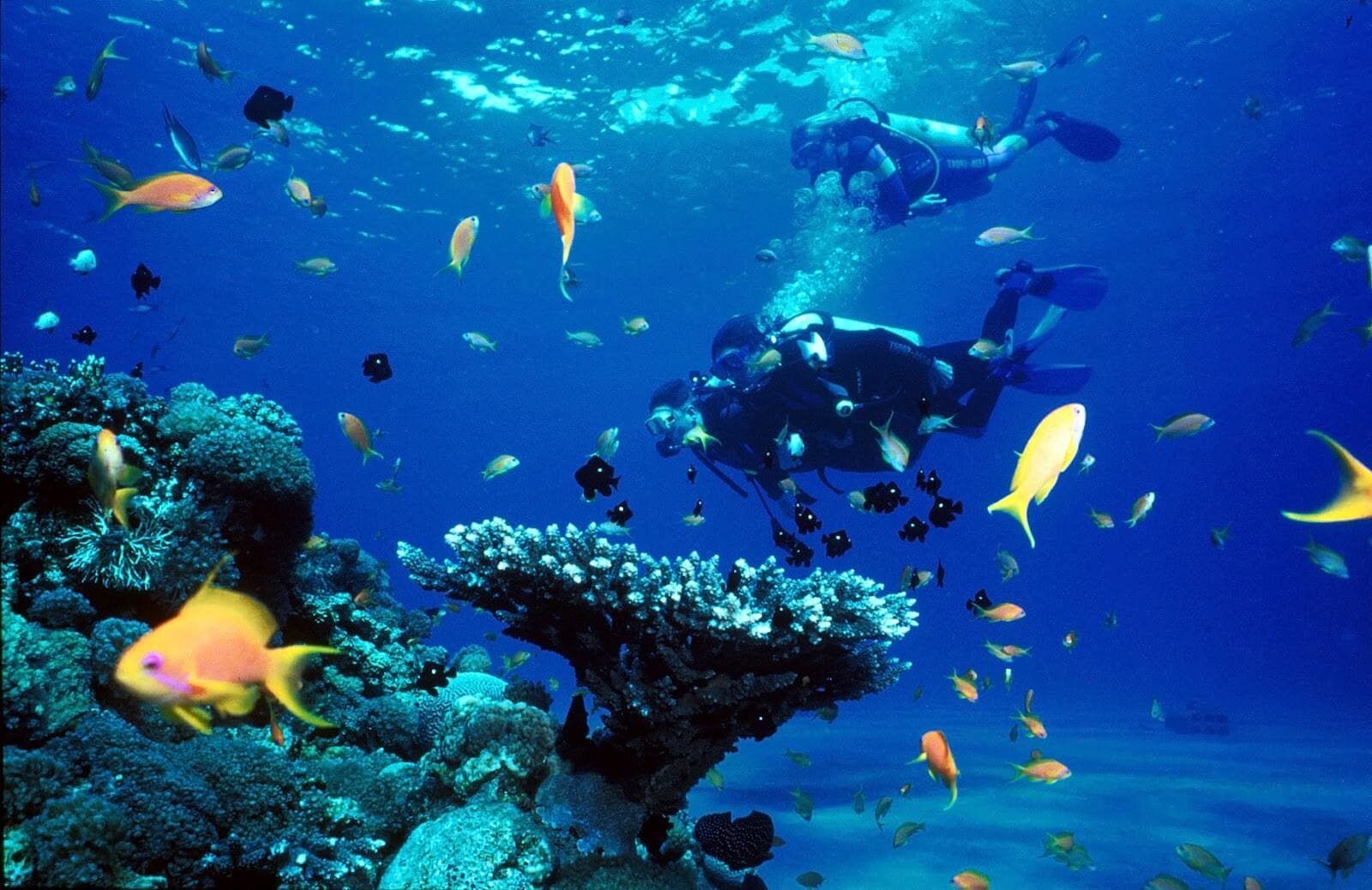 Lakshadweep Lakshadweep