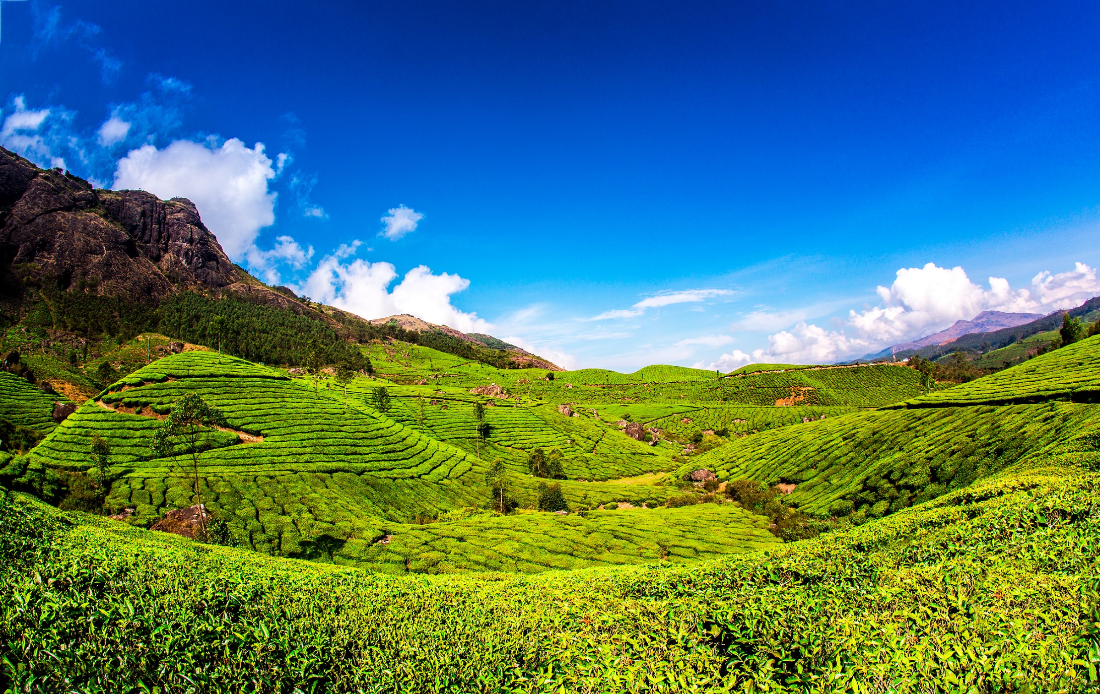 Munnar