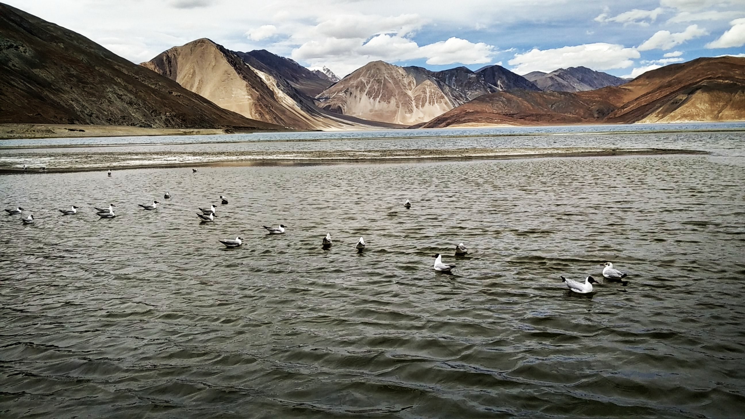 Pangong Tso