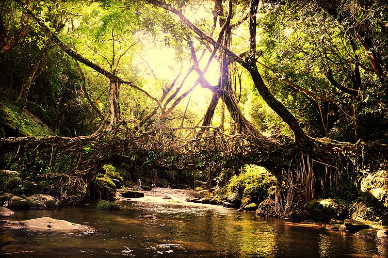 Meghalaya