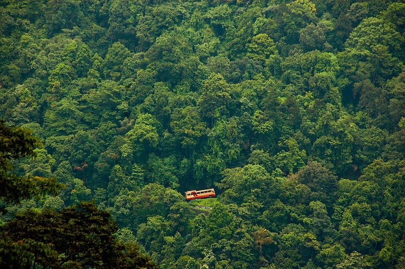 Wayanad Aanavandi