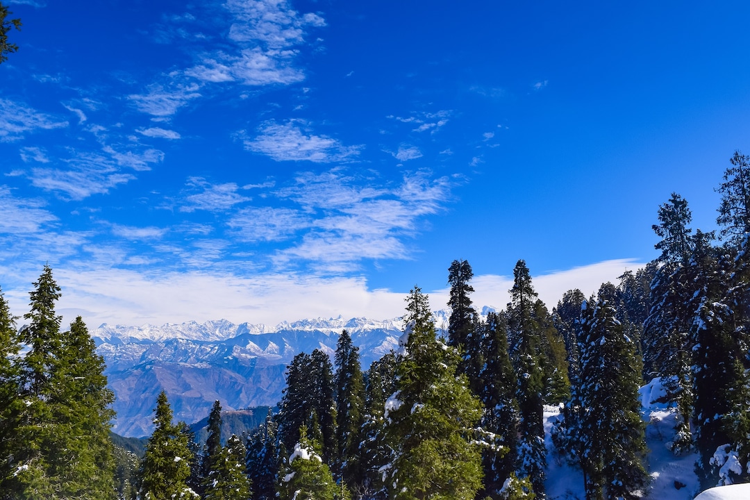 dalhousie tour packages veena world