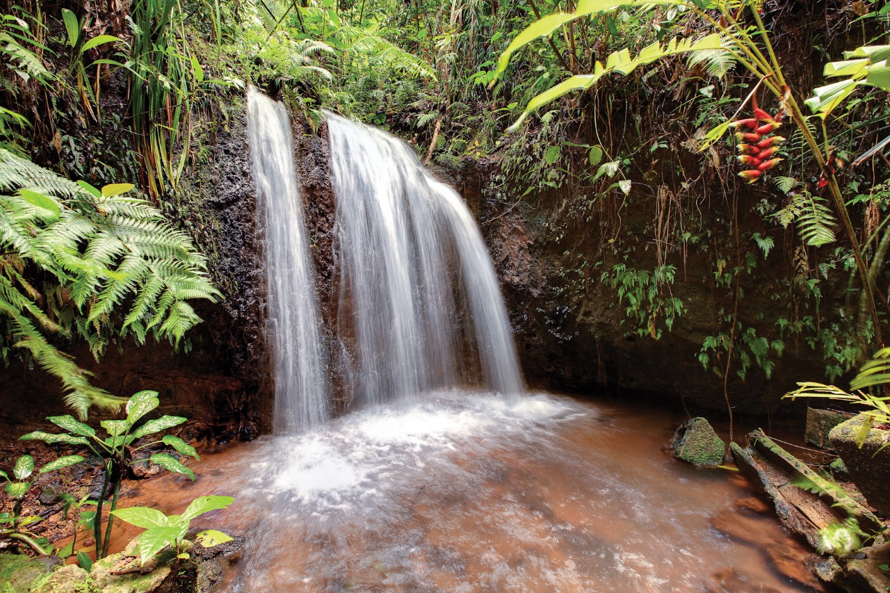 Paronella Park – Devil’s Pool – Josephine Falls