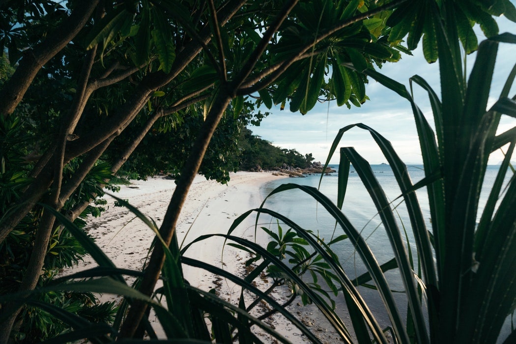 Koh Pha-ngan