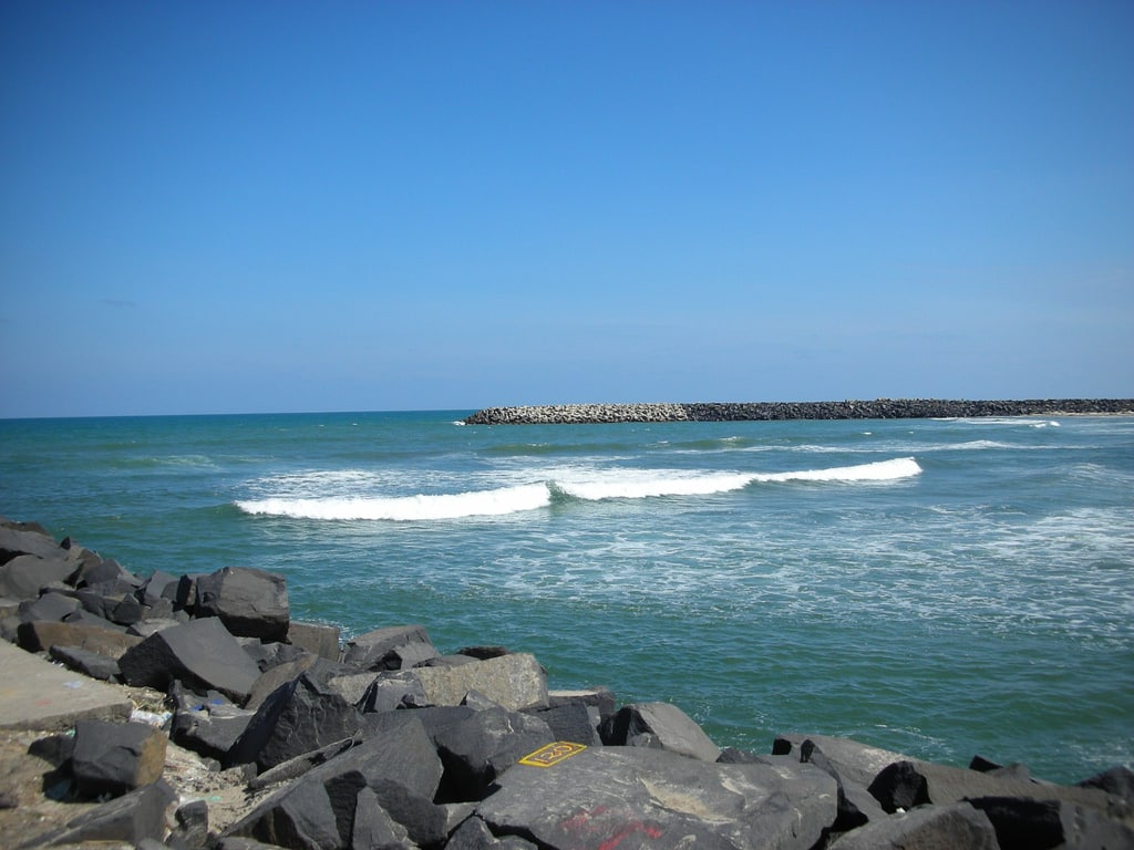 Beautiful Indian Ocean Coast Said and Prosopis Juliflora Bush Field Green  Stock Image - Image of wetland, tree: 240513863