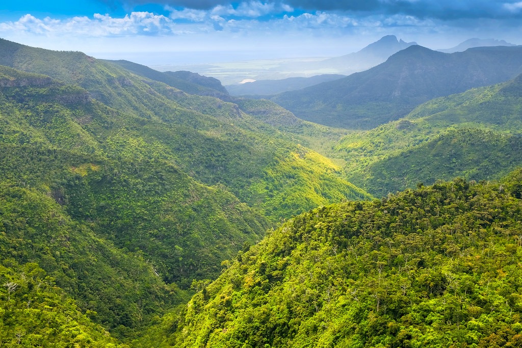 Black River Gorges National Park