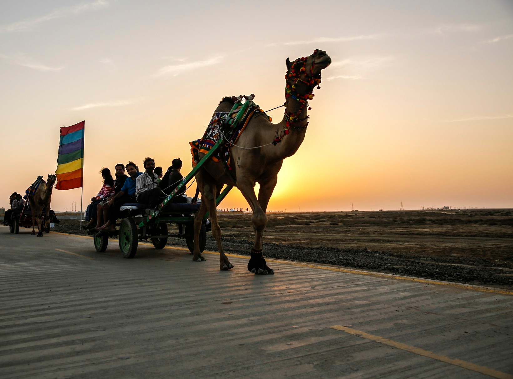 Camel Cart