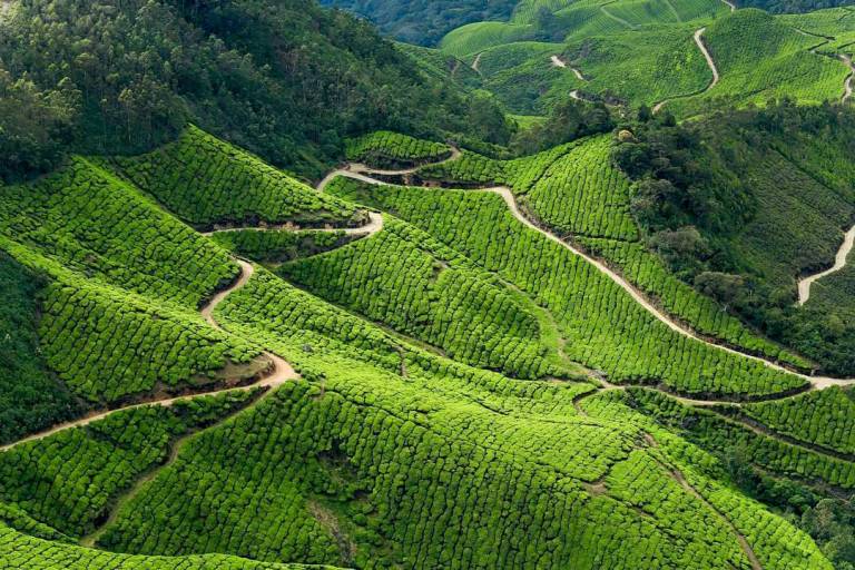 Kolukkumalai Tea Estate