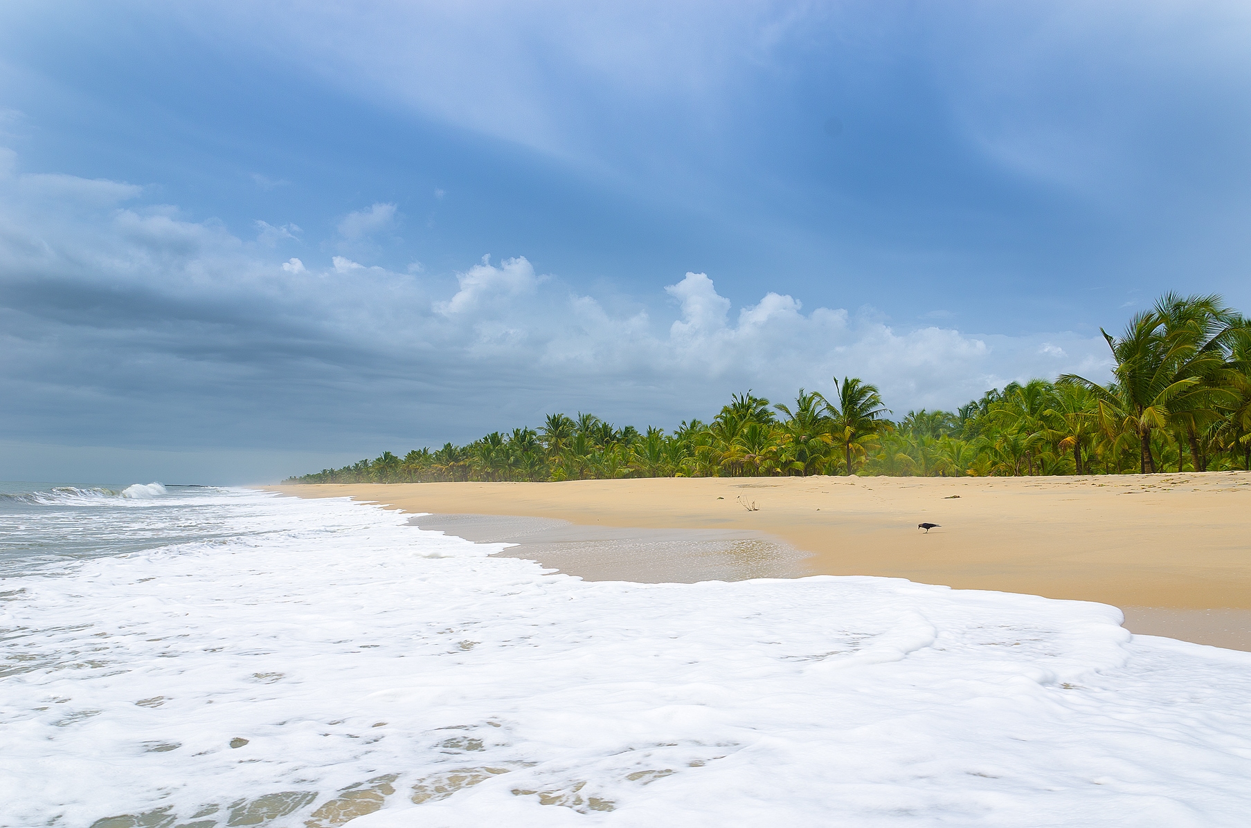 Marari Beach Marari Beach