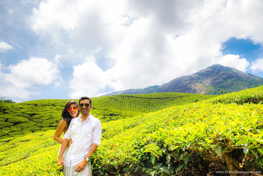 Lush Green Plantations Munnar Lush Green Plantations Munnar