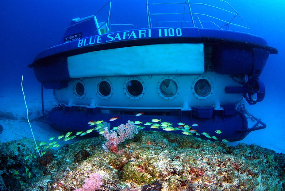 Submarine Cruise