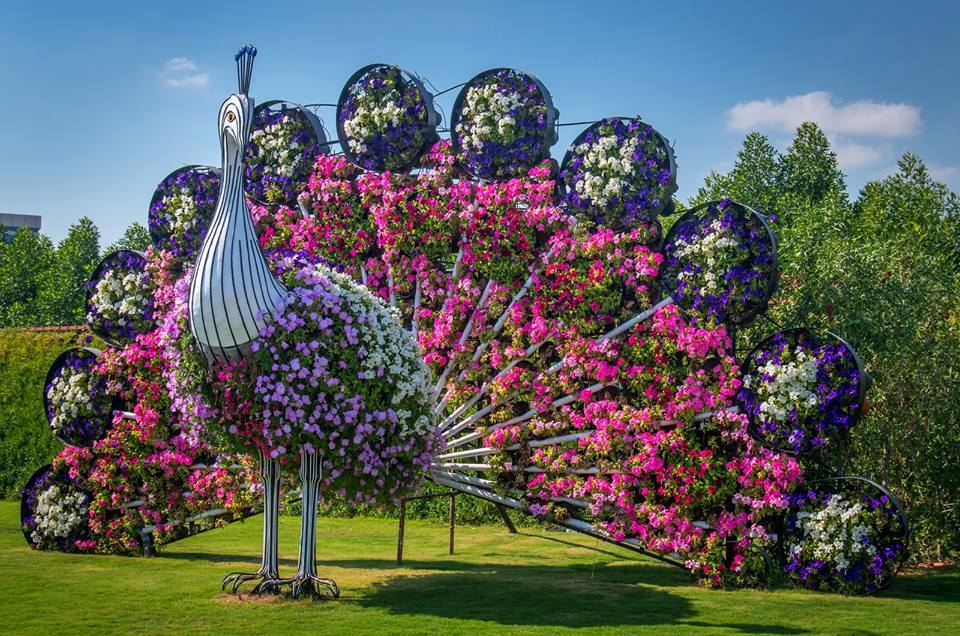 The Dubai Miracle Garden