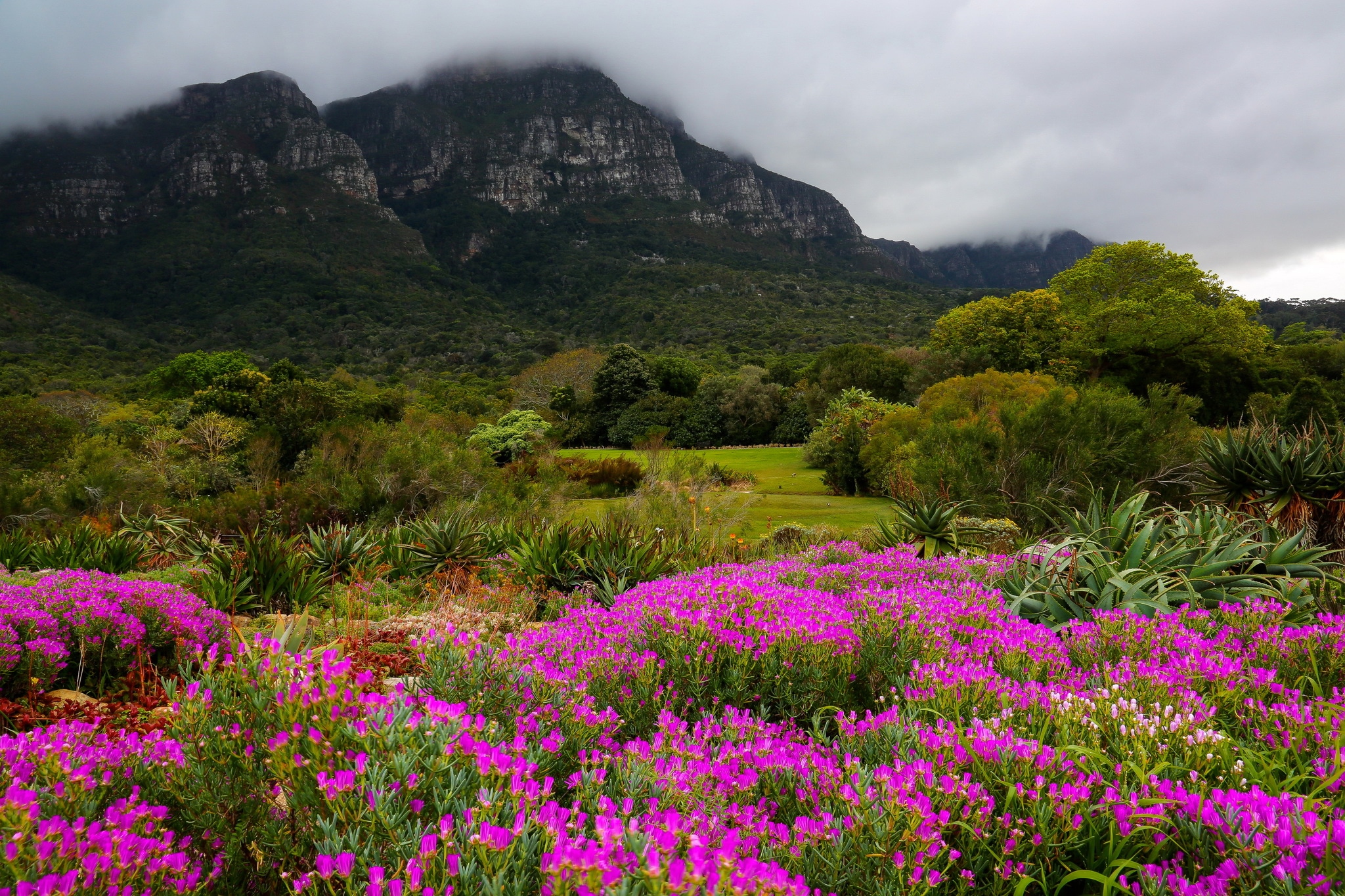 Kirstenbosch Botanical Garden