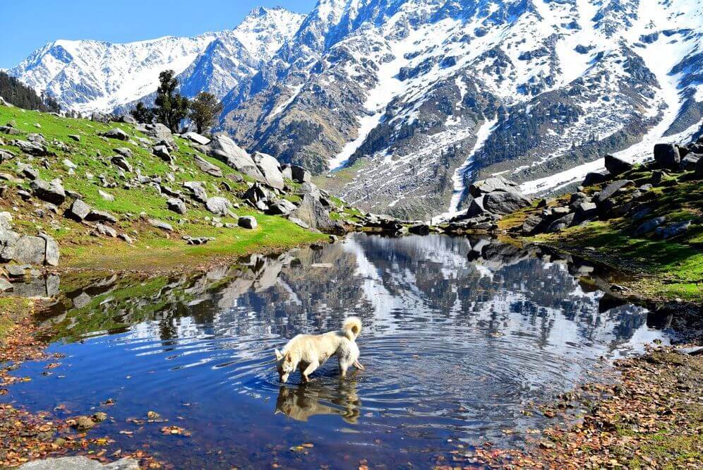 Mcleodganj