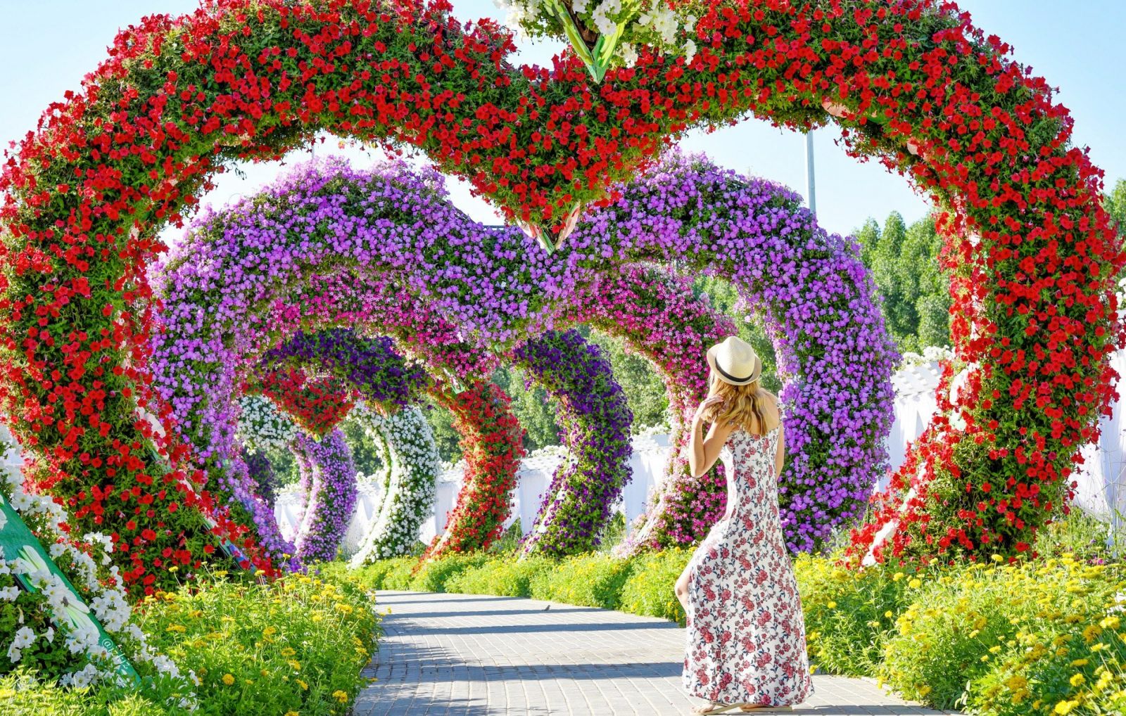 Miracle Garden