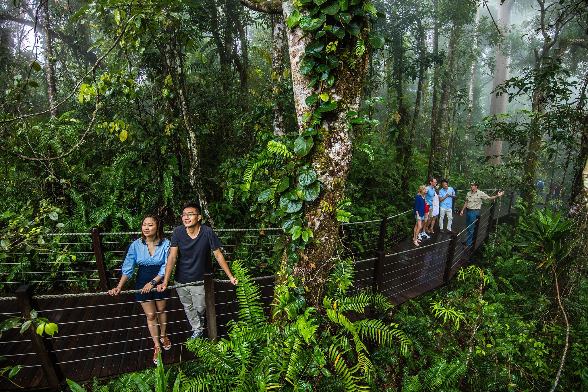 Group tours to Cairns