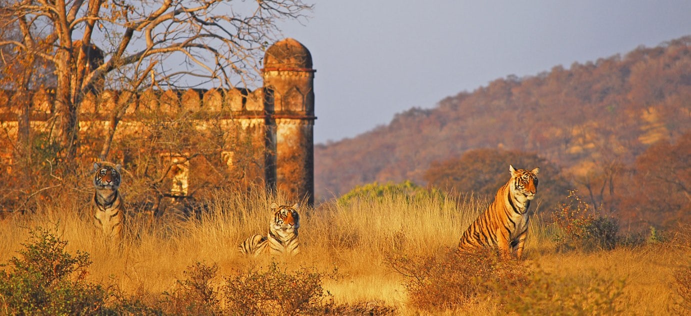 Sawai Madhopur Rajasthan