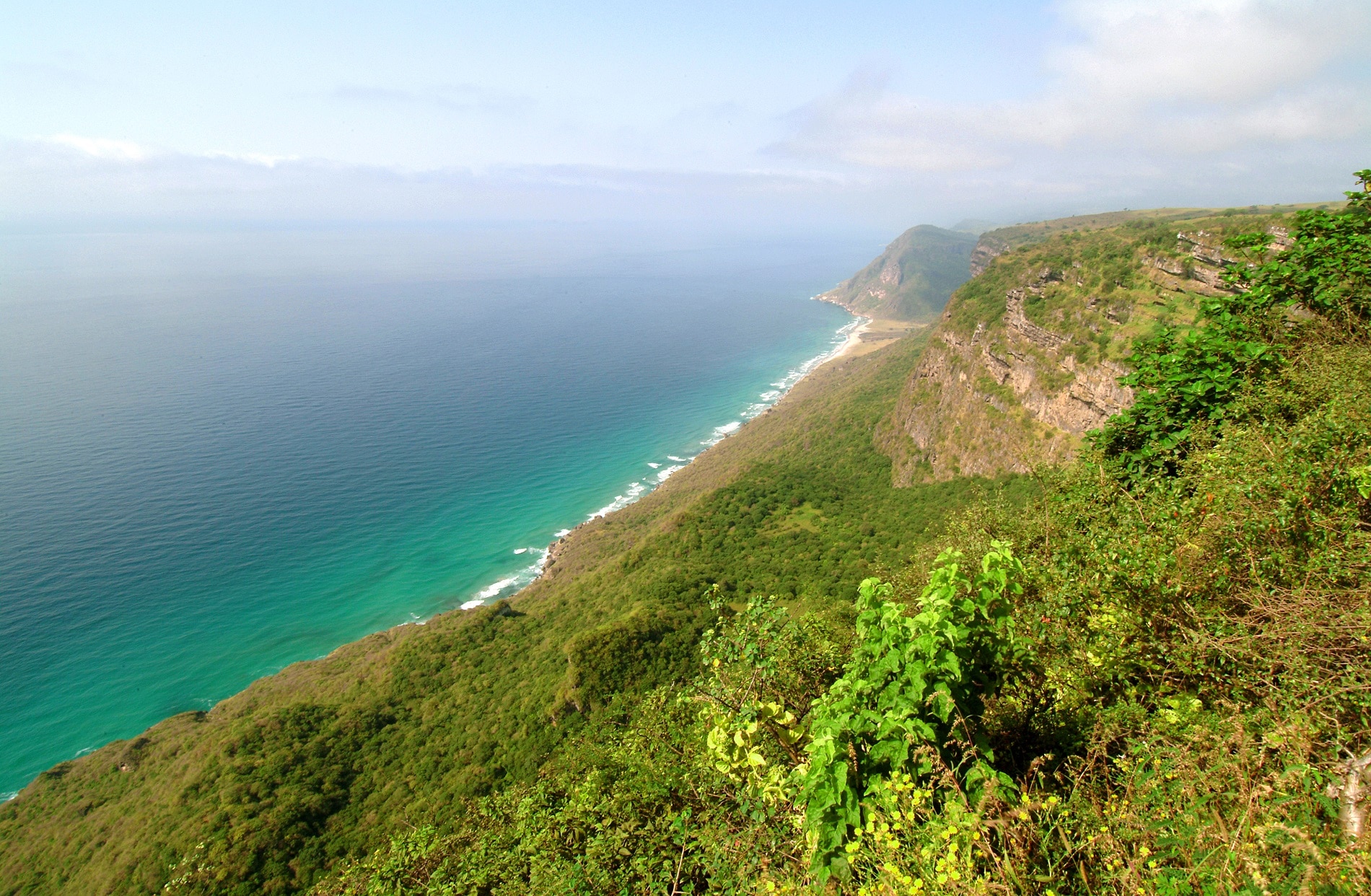 The Green Oasis Of Salalah In Oman