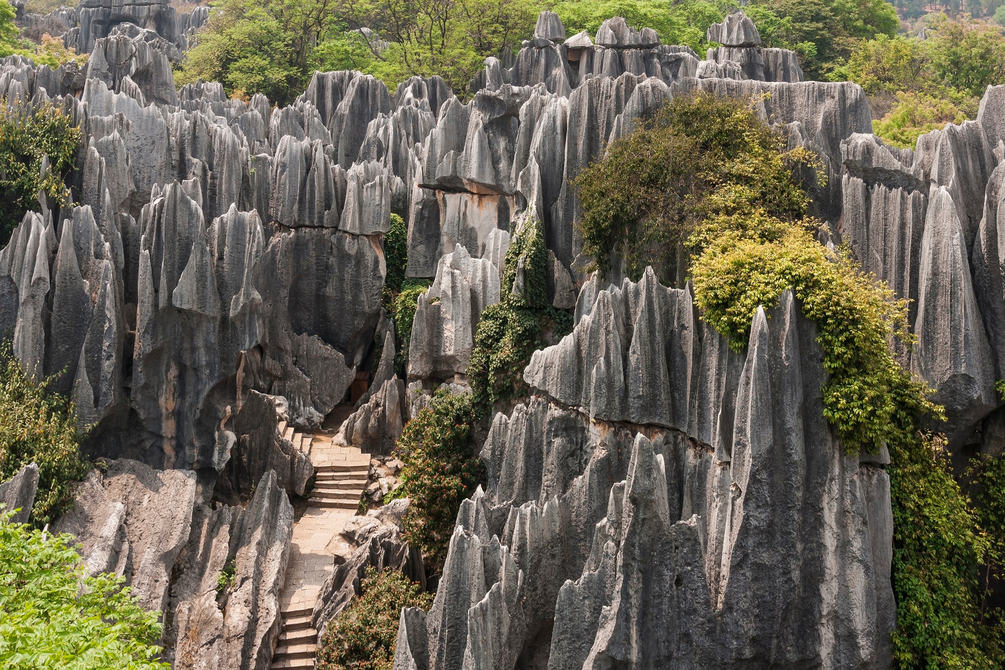 Stone Forest – Shilin, Yunnan