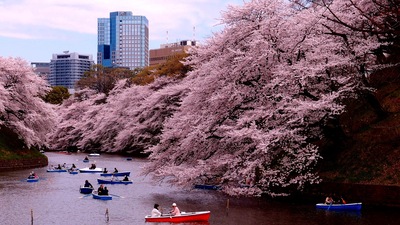 Tokyo Points of Interest - A One Day Tour Itinerary of the Futuristic City!