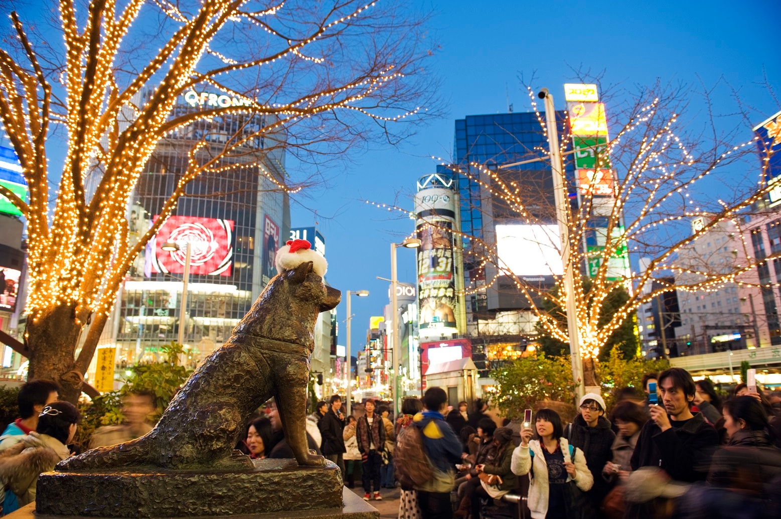 Hachiko Statue during Christmas