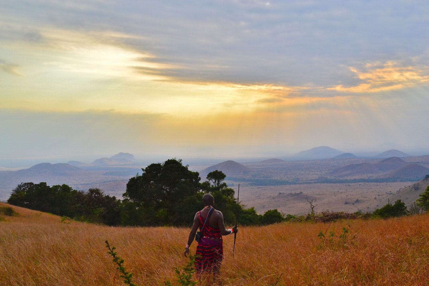 Africa Cradle Of Mankind