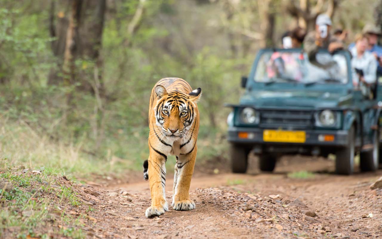 Sawai Madhopur