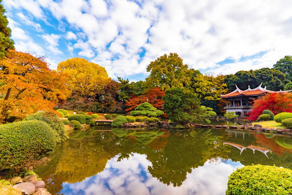 Shinjuku Garden