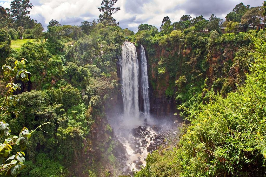 Thomson Falls