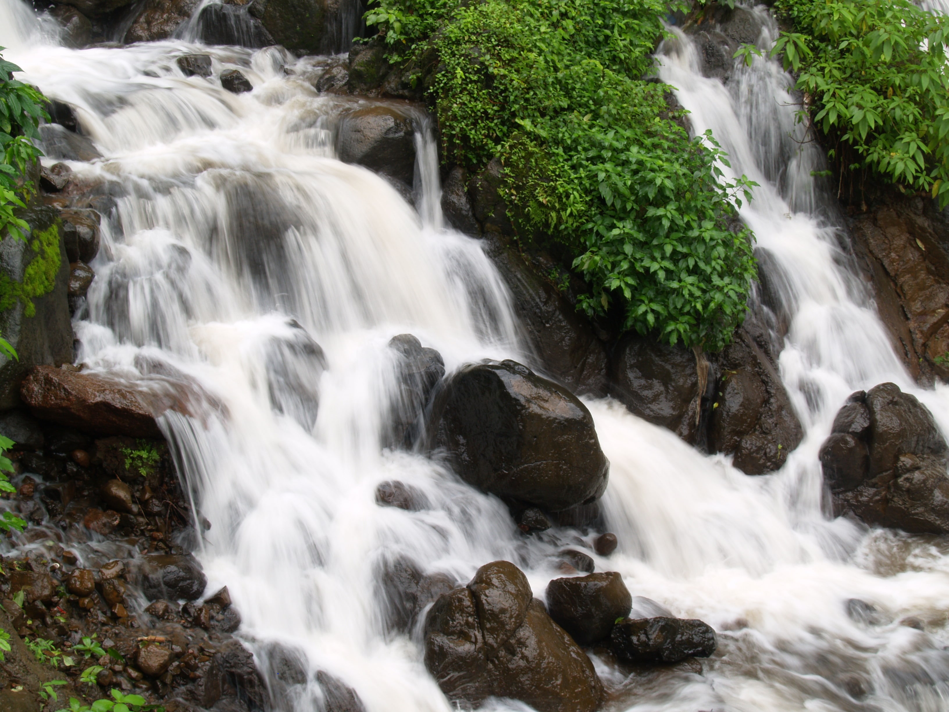 Amboli