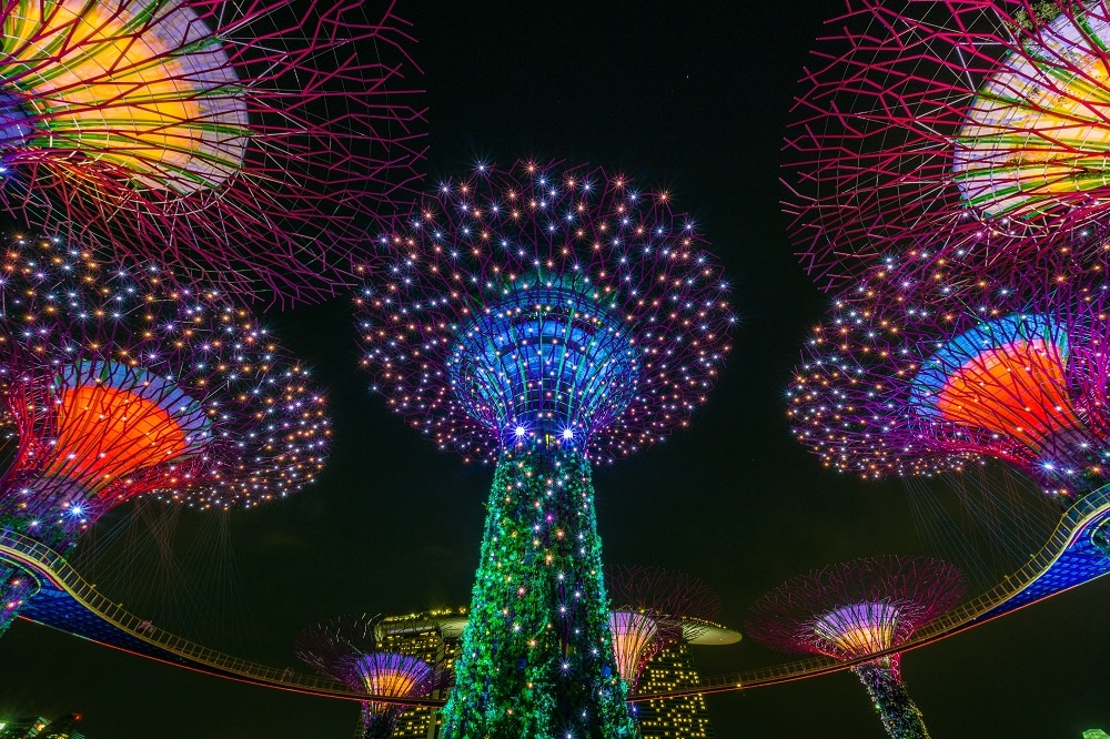 Gardens By The Bay Nightview