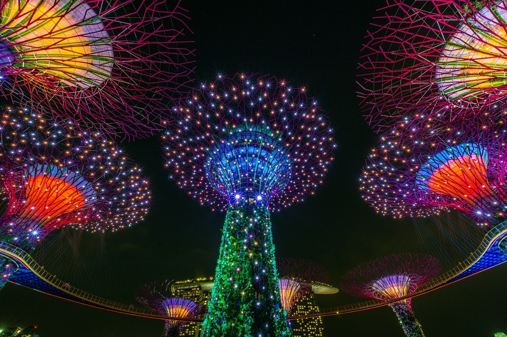 Night View at Gardens by the Bay